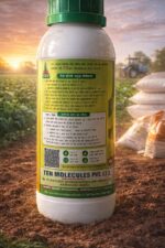 Nano Shakti Nano DAP Liquid Fertilizer 60ml | Plant Growth Booster | High Nitrogen (6%) & Phosphorus (6%) | Suitable for All Crops & Plants - Image 2